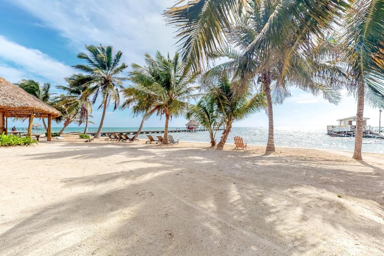 Coral Reef Condo 圣佩德罗 外观 照片