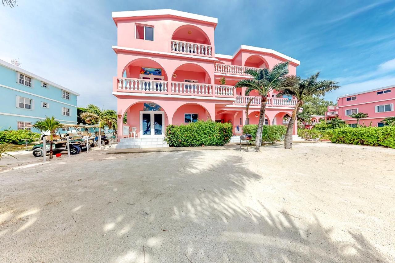 Coral Reef Condo 圣佩德罗 外观 照片